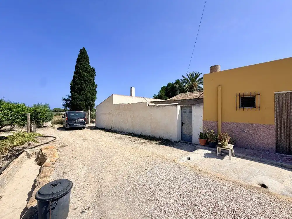 Exterior view of Country homes for sale in Elche / Elx