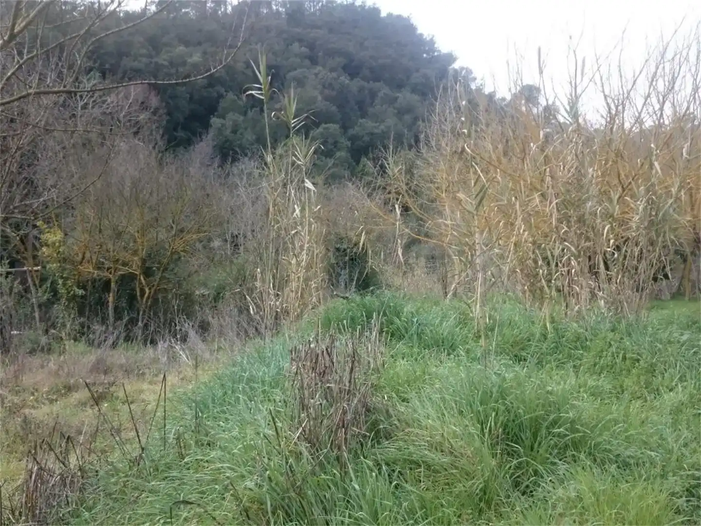 Finca rústica en venda en Tordera