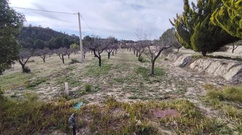 Foto 4 de Finca rústica en venta en Relleu, Alicante