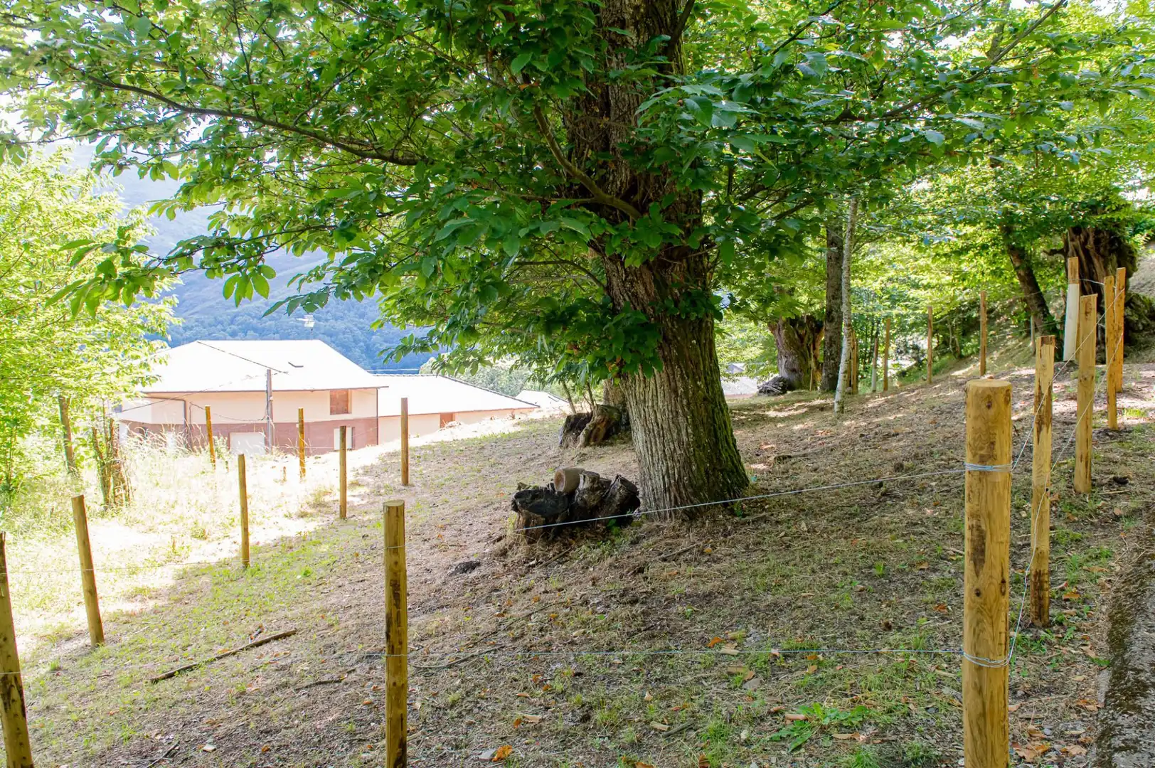 Jardín de Casa o chalet en venta en Vega de Valcarce con Calefacción, Jardín privado y Terraza