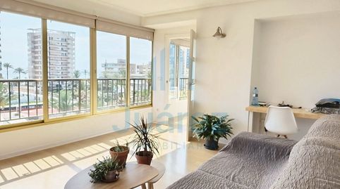 Foto 5 de Piso de alquiler en Costa Blanca, Playa de San Juan, Alicante / Alacant