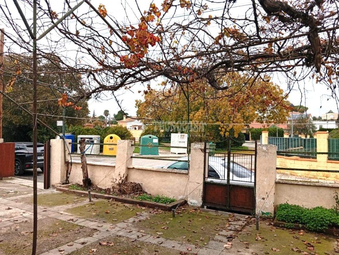Vista exterior de Finca rústica en venda en Palomares del Río