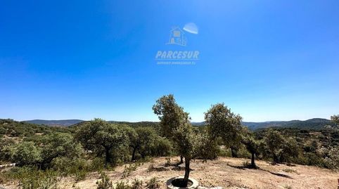 Foto 4 de Finca rústica en venta en Villaharta, Córdoba