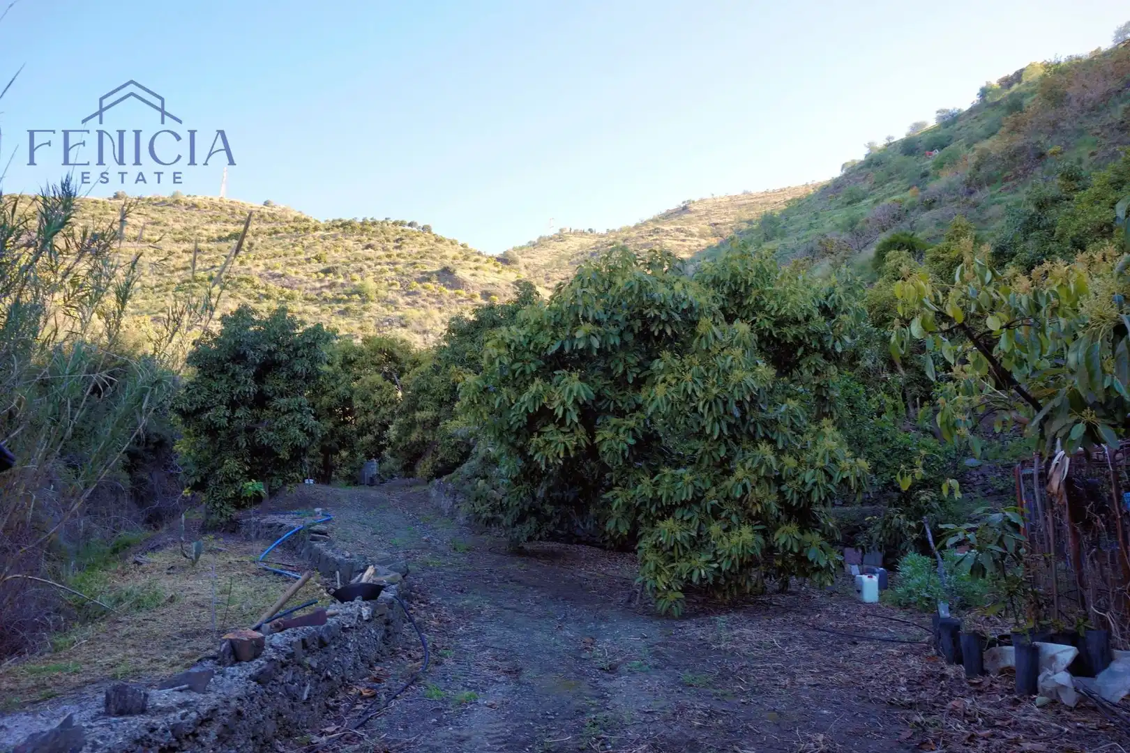 Terreno en venta en Ítrabo