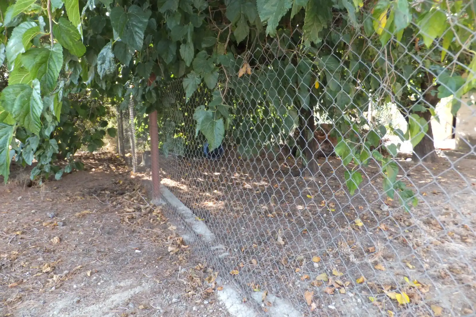 Terreno rústico en venta en Vial Camino 20, imagen 28