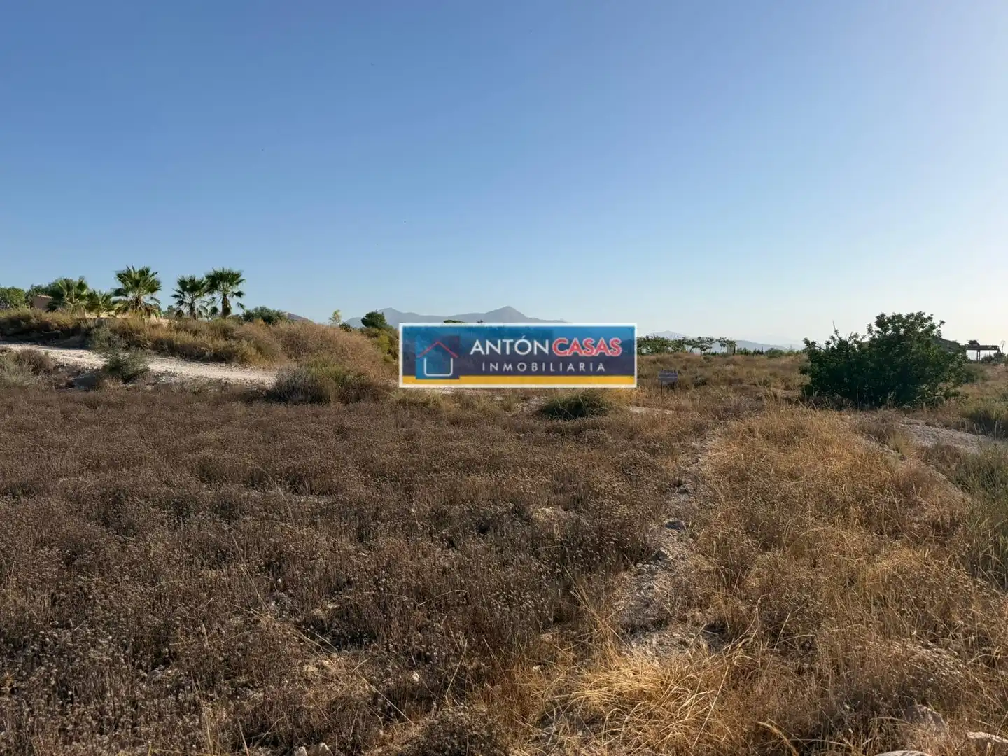 Rural land for sale in Novelda, imagen 9