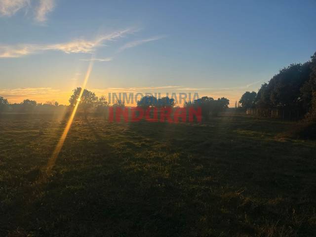 Finca rústica en Venta en Poligono Nueve en Saucedilla