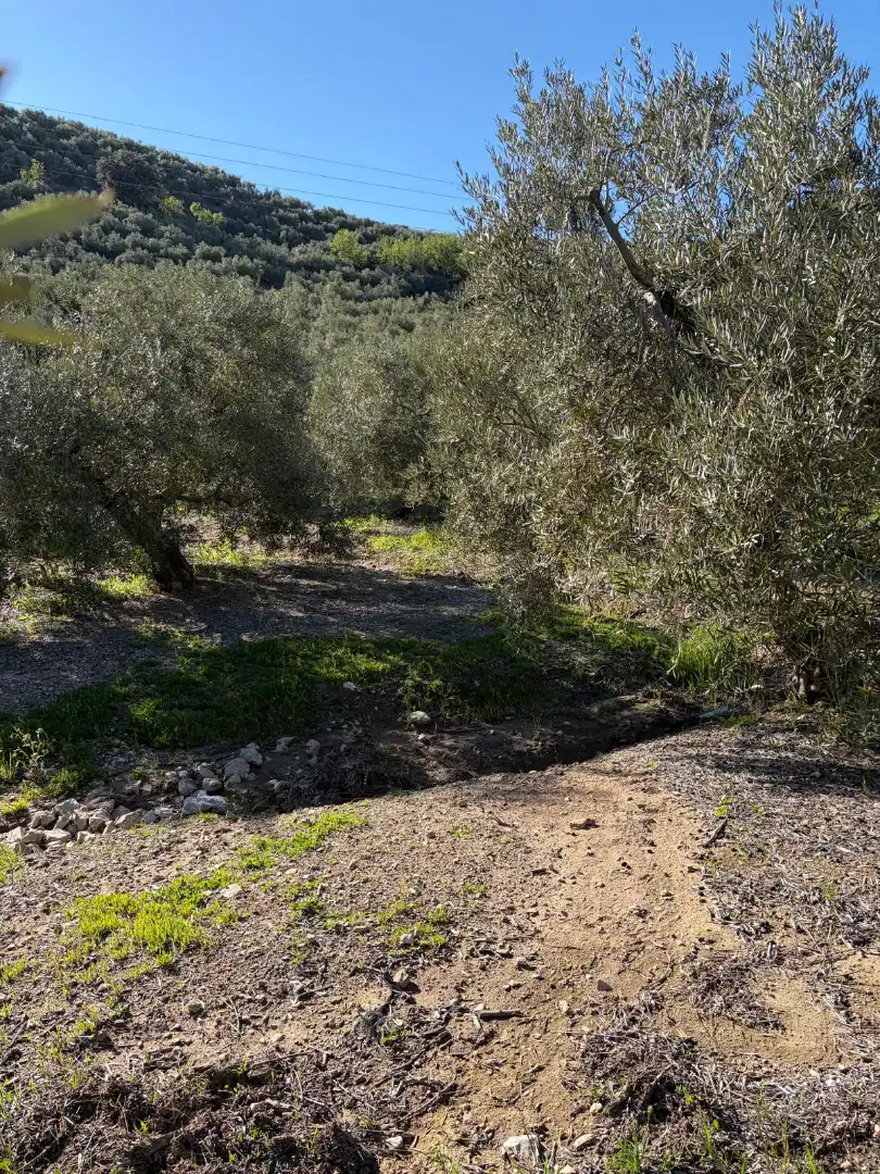Terreny rústic en venda a Priego de Córdoba, imagen 3