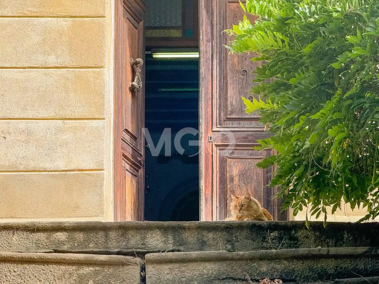 Casa rústica amb jardí en venda a Camino Ripoll, imagen 12
