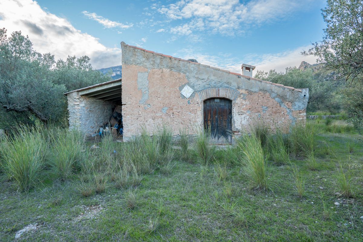 Exterior view of Land for sale in Roquetes