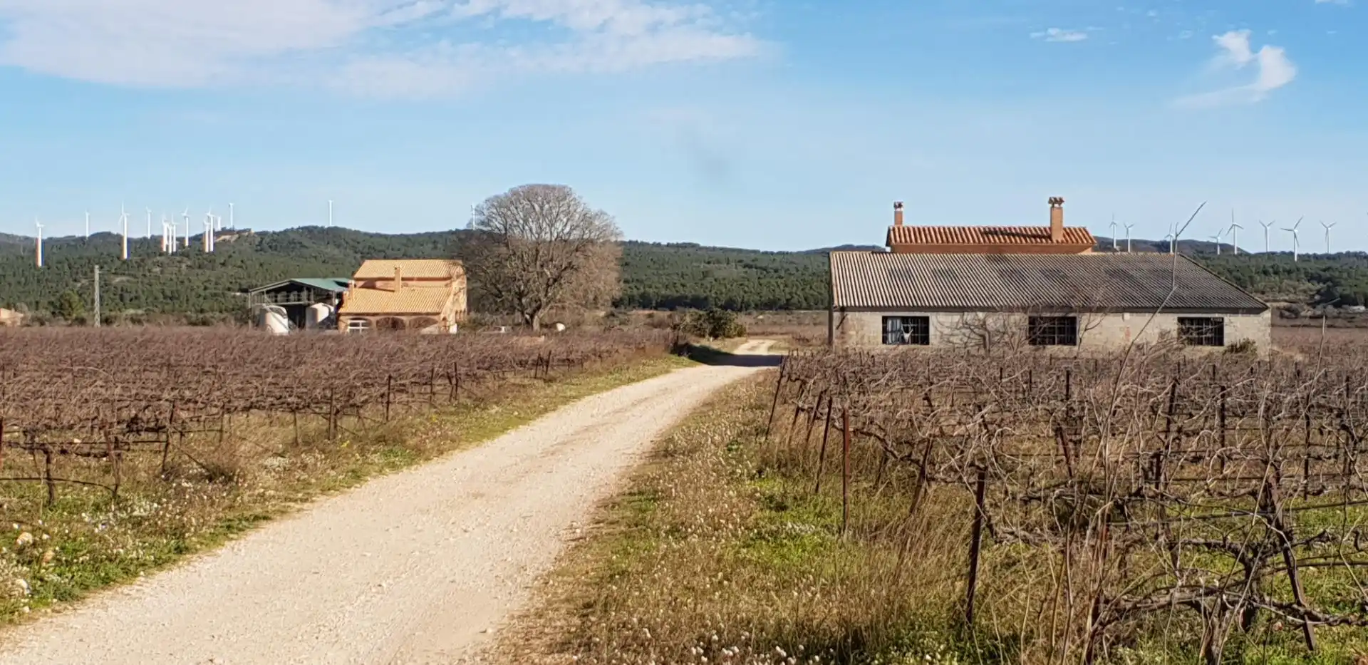 Finca rústica en venta en El Perelló con Jardín privado, Terraza y Trastero