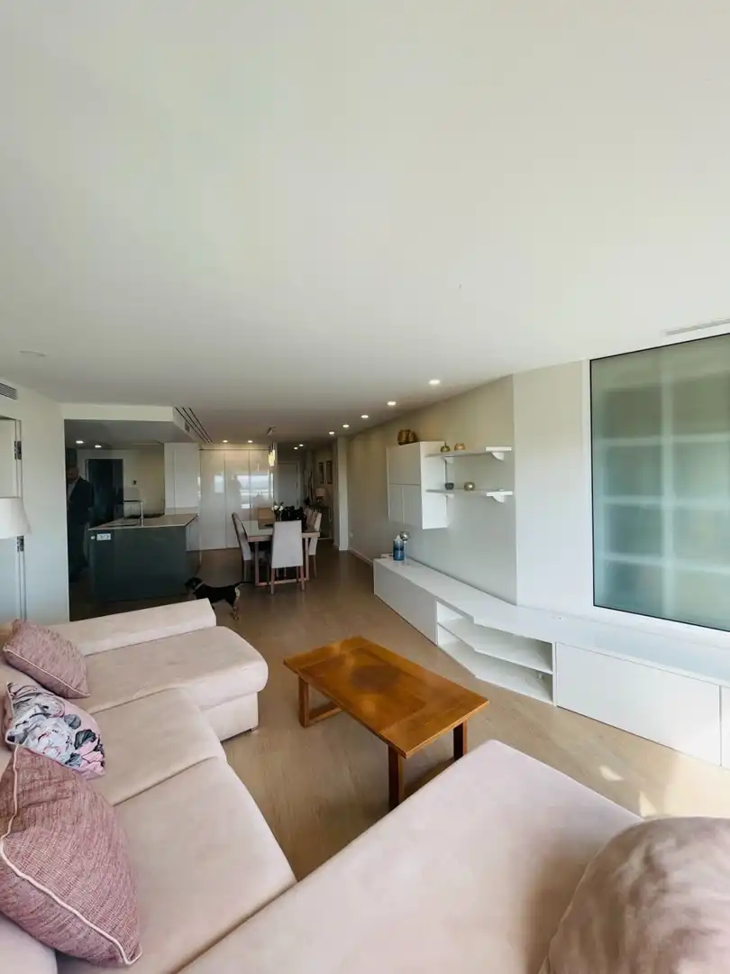 Sala de estar de Piso de alquiler en Alicante / Alacant con Aire acondicionado, Calefacción y Parquet