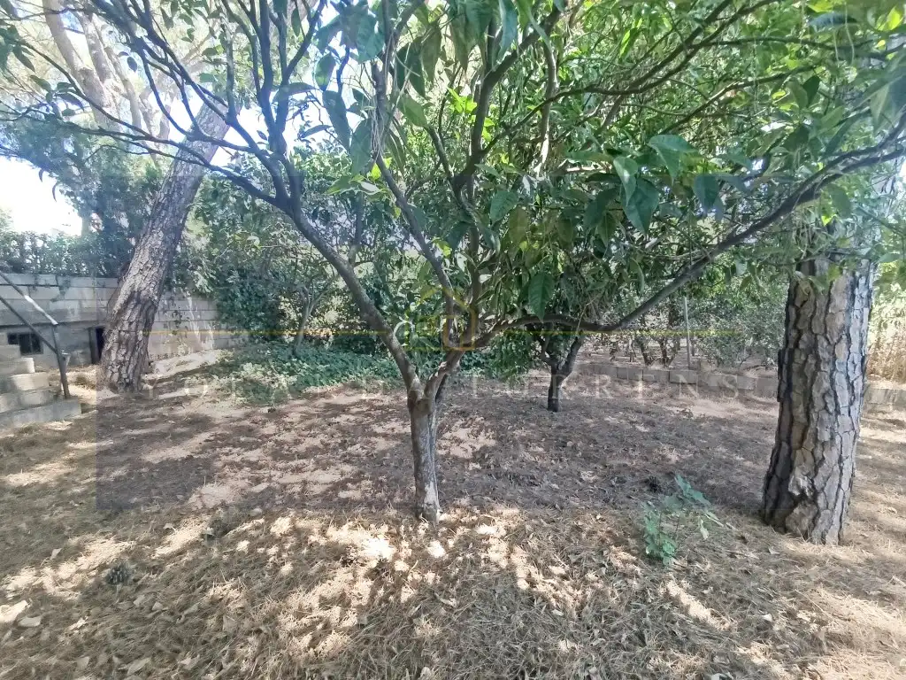 Casa o xalet en venda a Oromana