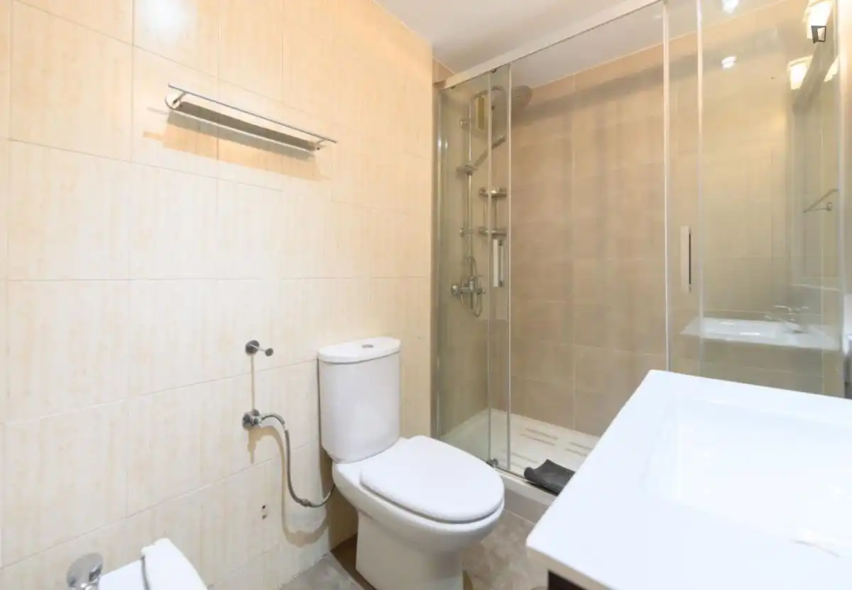 Bathroom of Apartments for rent in Madrid  with Air Conditioner, Heating and Furnished