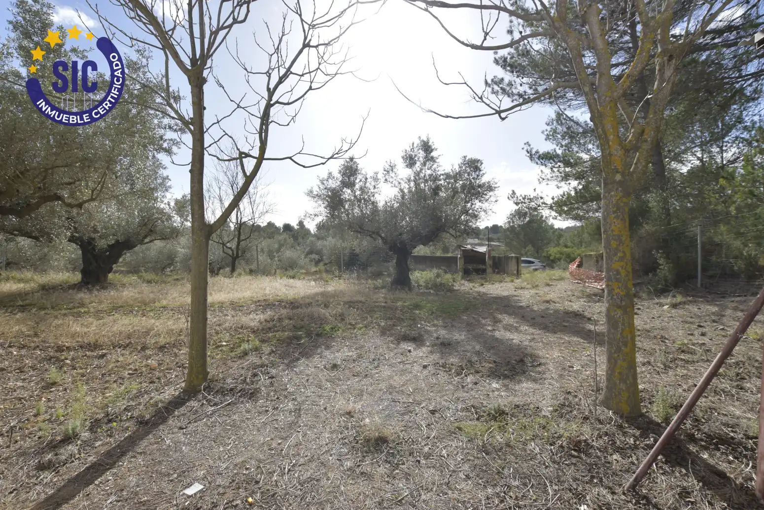 Land for sale in Jérica