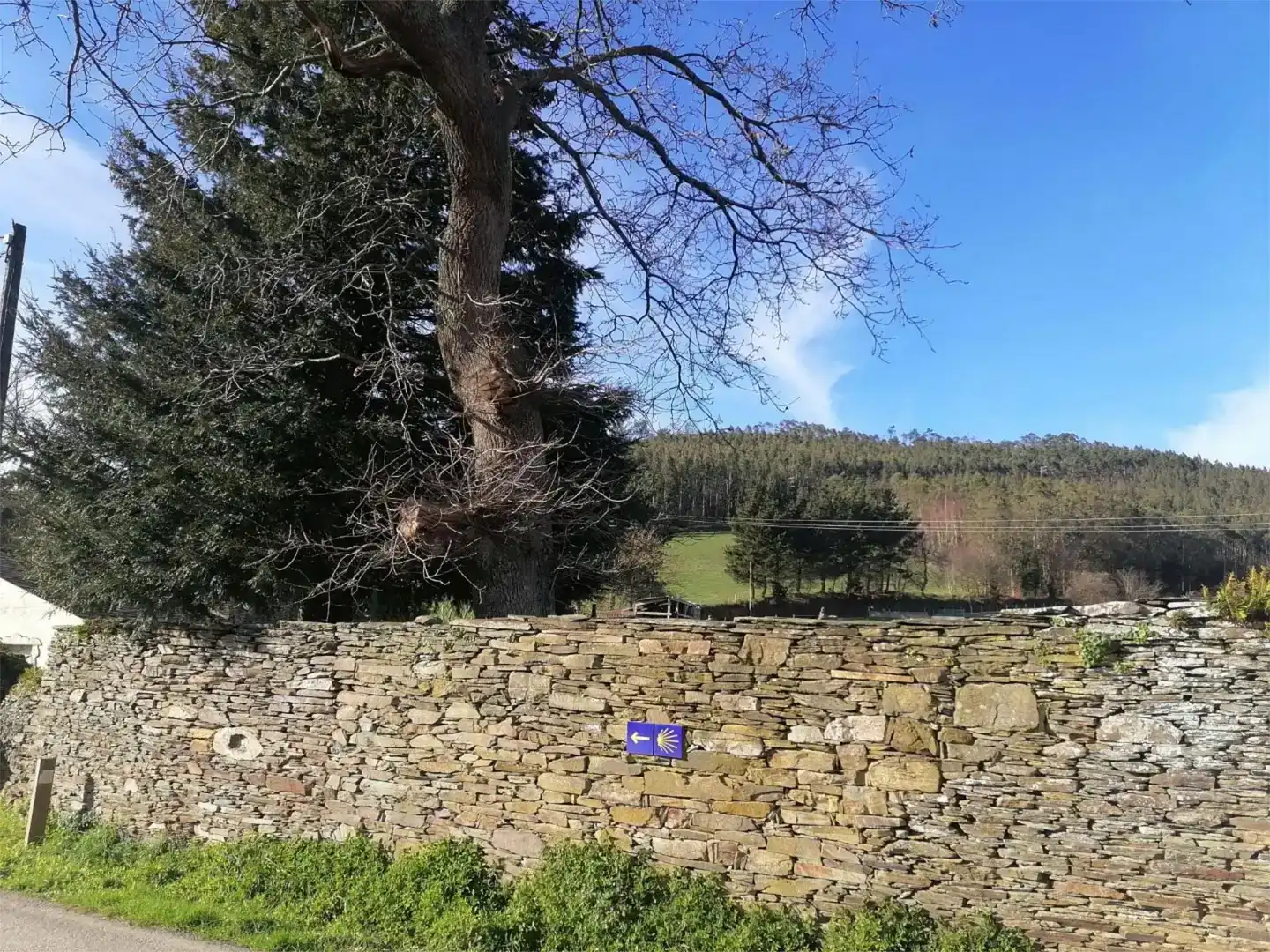 Finca rústica en venda en Mondoñedo amb Jardí privat, Traster i Moblat