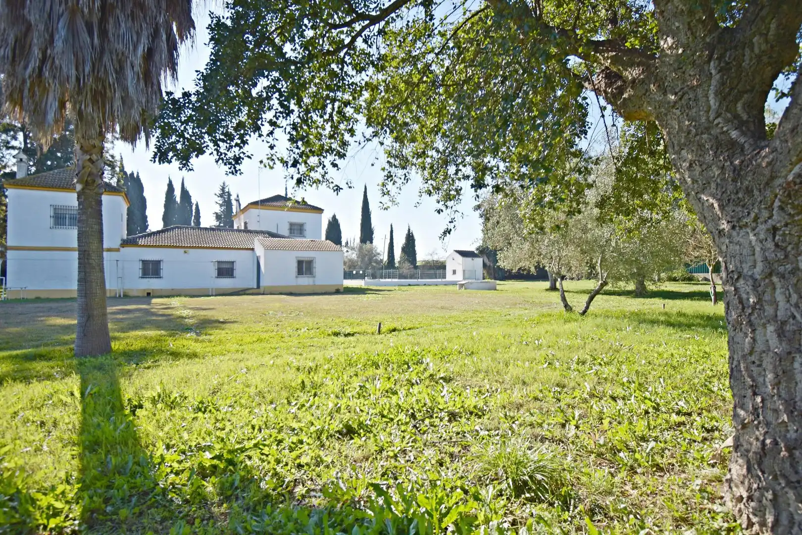 Garden of Country homes for sale in Jerez de la Frontera  with Air Conditioner, Private garden and Storage room