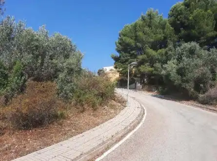 Terreny rústic en venda a Pt Urbanización La Almazara, imagen 13