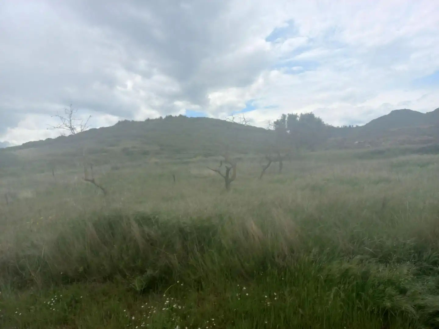 Terreny residencial en venda a Sc Malacapa, Pol, imagen 9