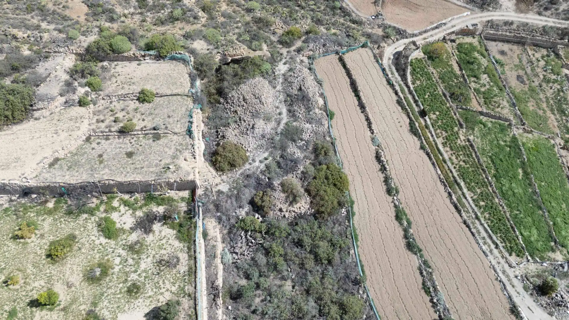 Grundstücke und Bauplätze zum Verkauf in Polígono 5 Paraje 193 LA VERA 439, imagen 17