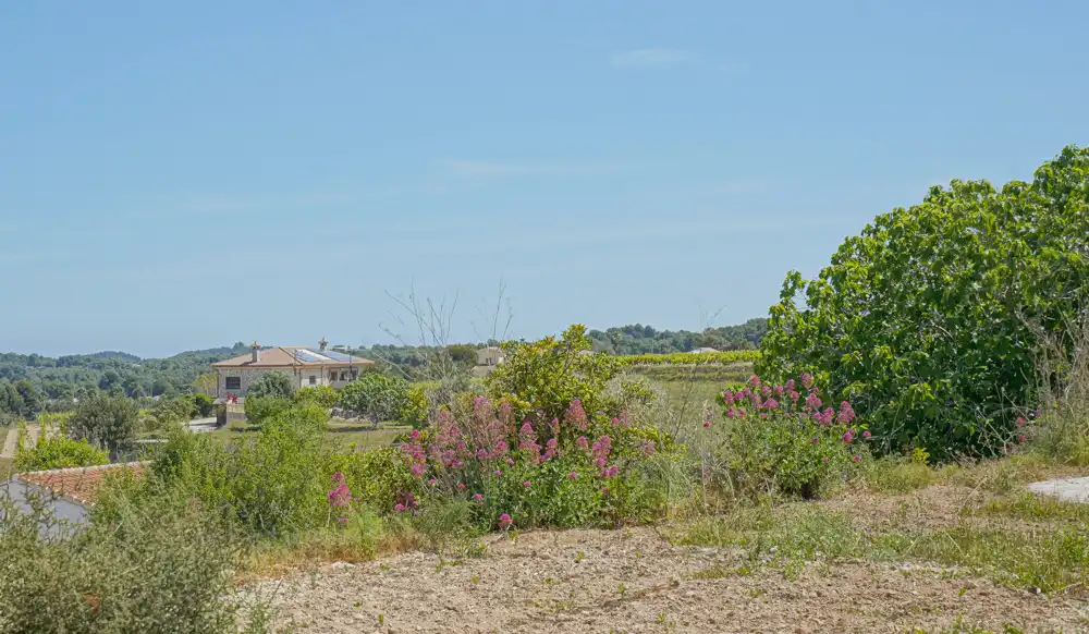 Casa o xalet en venda en Jávea / Xàbia amb Terrassa i Piscina
