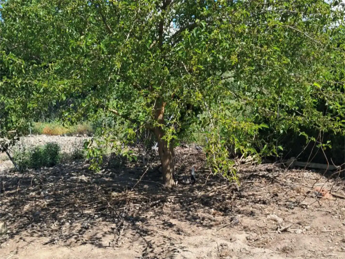 Pis en venda en Navalmoral de la Mata amb Aire condicionat, Jardí privat i Traster