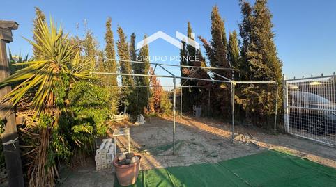 Photo 3 of Land for sale in Pozoalbero, Cádiz