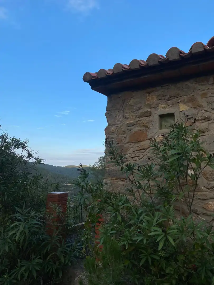 Vista exterior de Finca rústica en venda en Alcudia de Veo amb Terrassa
