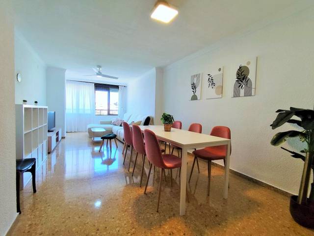 Piso en Alquiler en Avinguda de Blasco Ibáñez en Ciutat Jardí