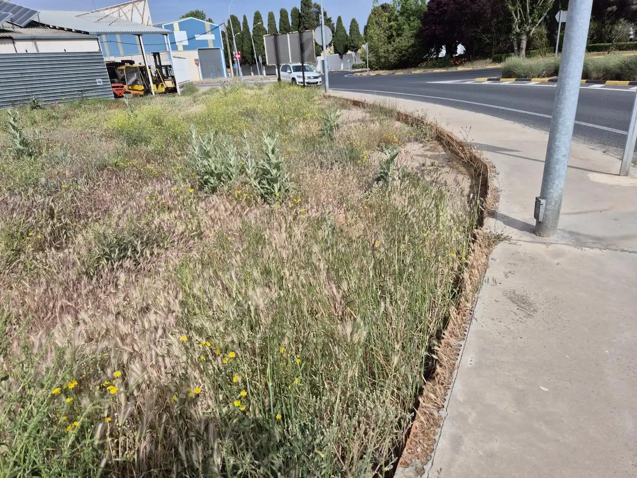 Grundstücke und Bauplätze zum Verkauf in Las Mesas, imagen 10