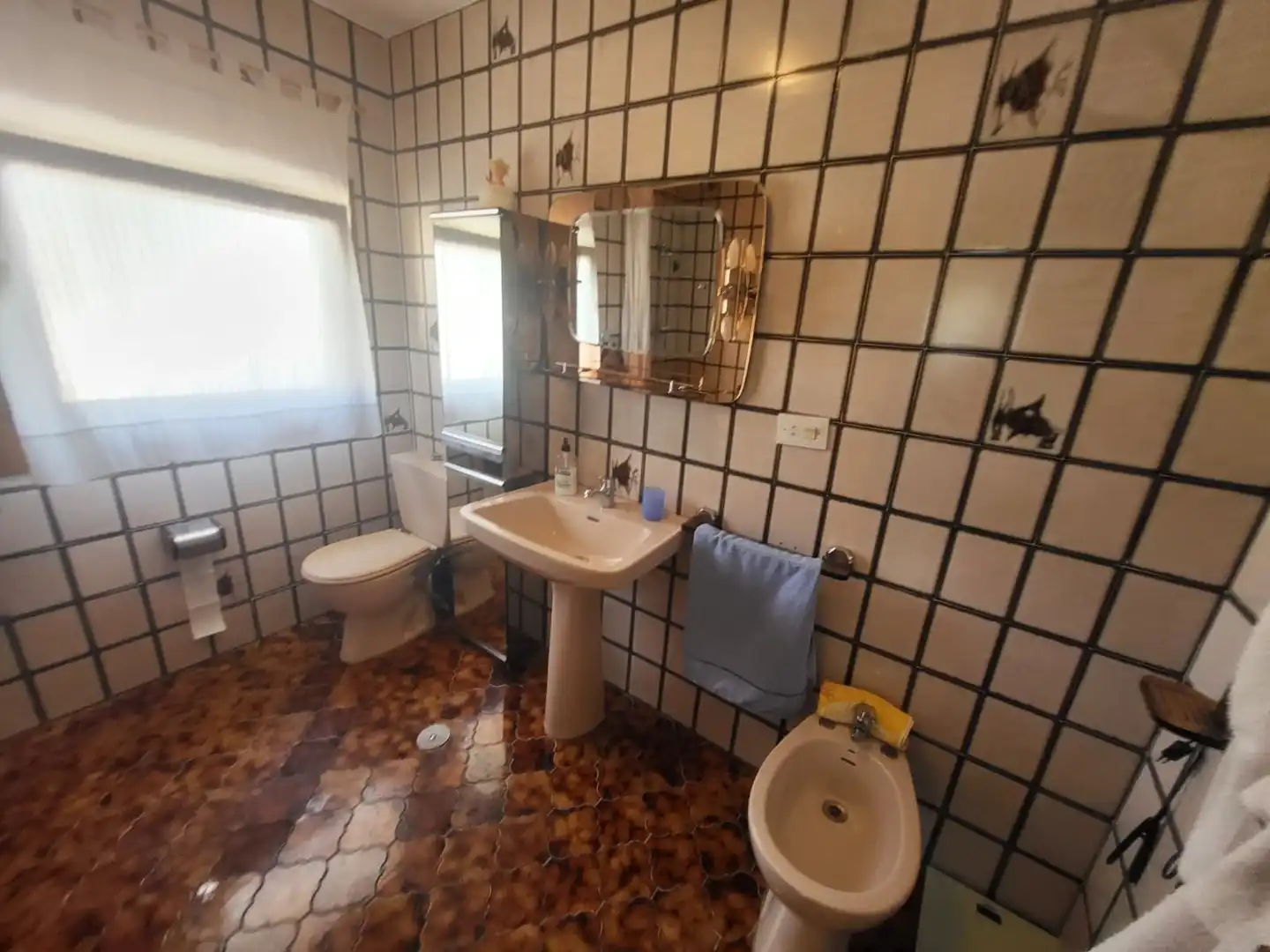Casa con piscina in vendita a Belicena, imagen 14