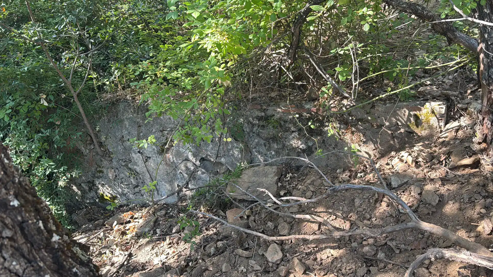 Finca rústica en venda en Benalauría amb Piscina i Balcó
