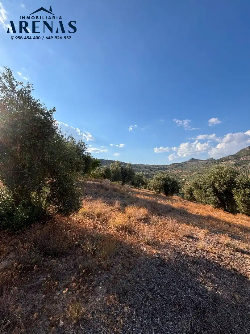Rustikales Grundstück zum Verkauf in Carretera Montefrío, imagen 4