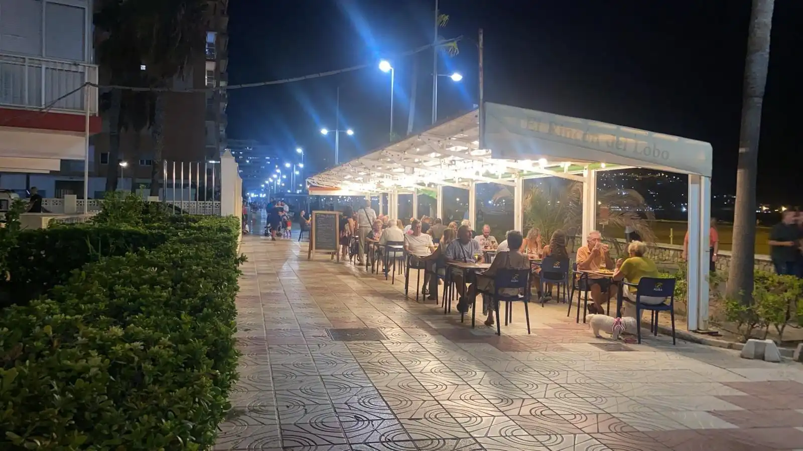 Commercial properties for rent in Racó