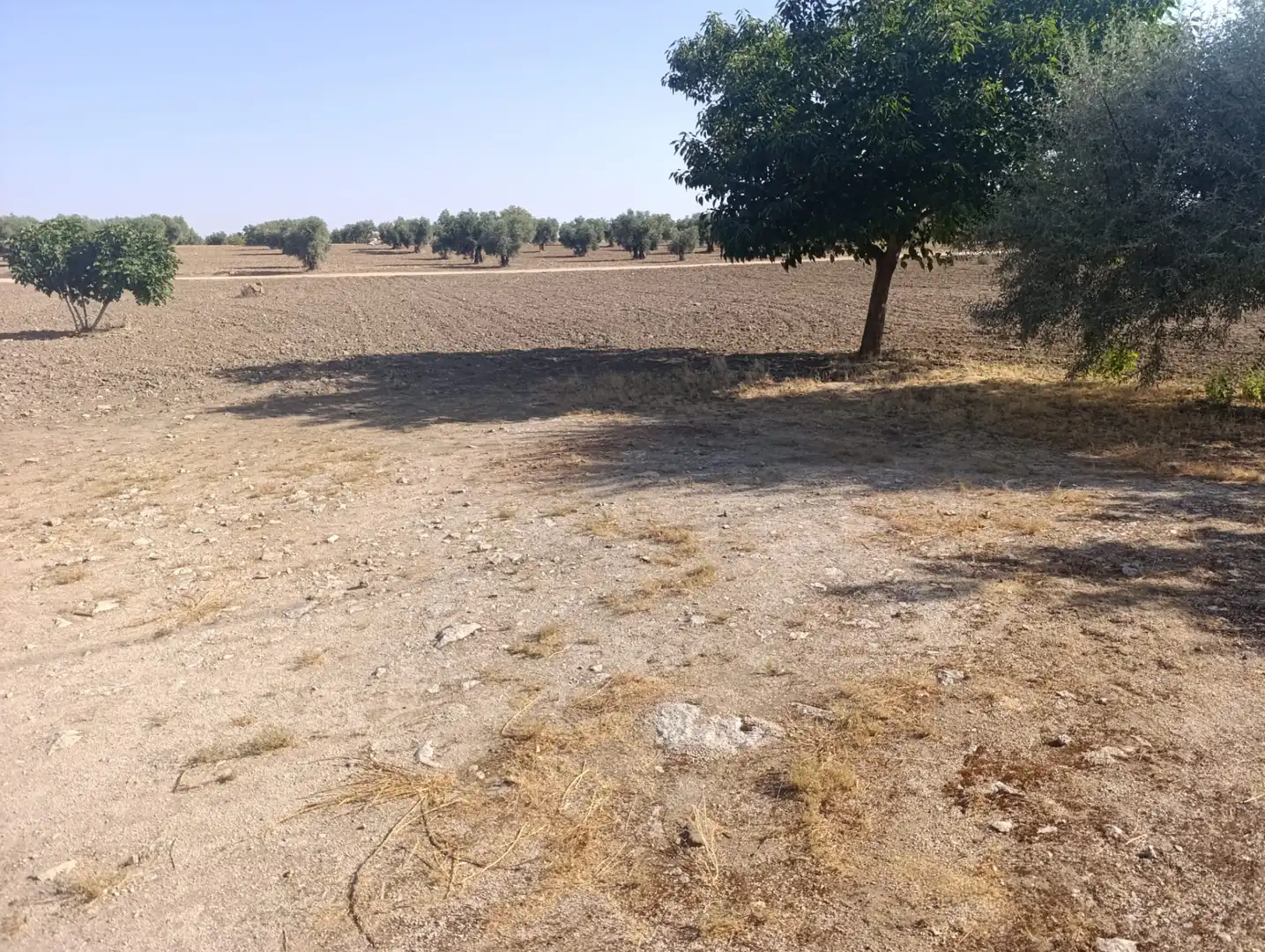 Terrenys i solars en venda a Camino Ajofrín, imagen 11