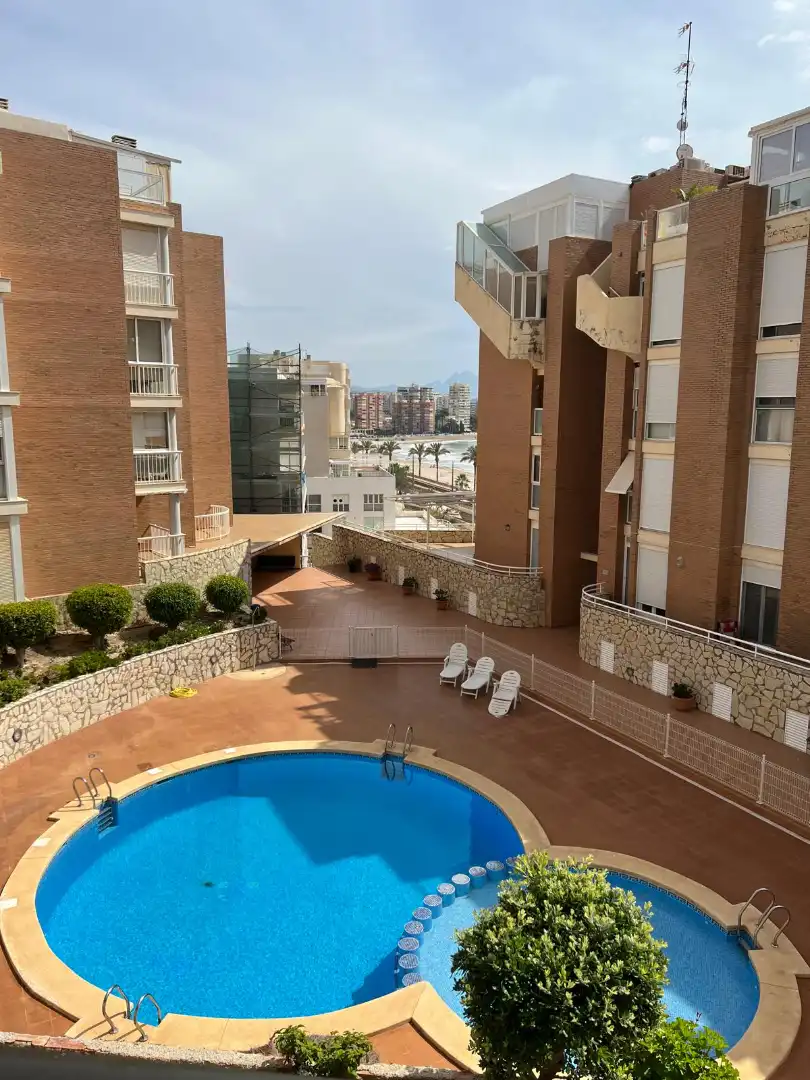 Swimming pool of Apartments for rent in El Campello  with Swimming Pool, Furnished and Oven