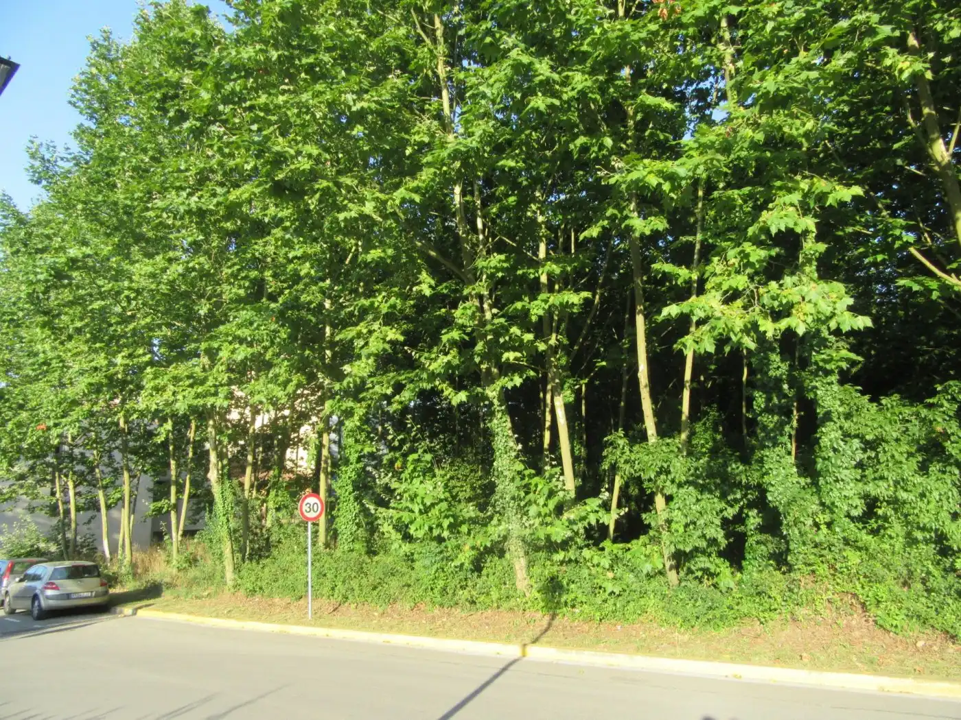 Terreno residencial en venta en Gualba, imagen 6