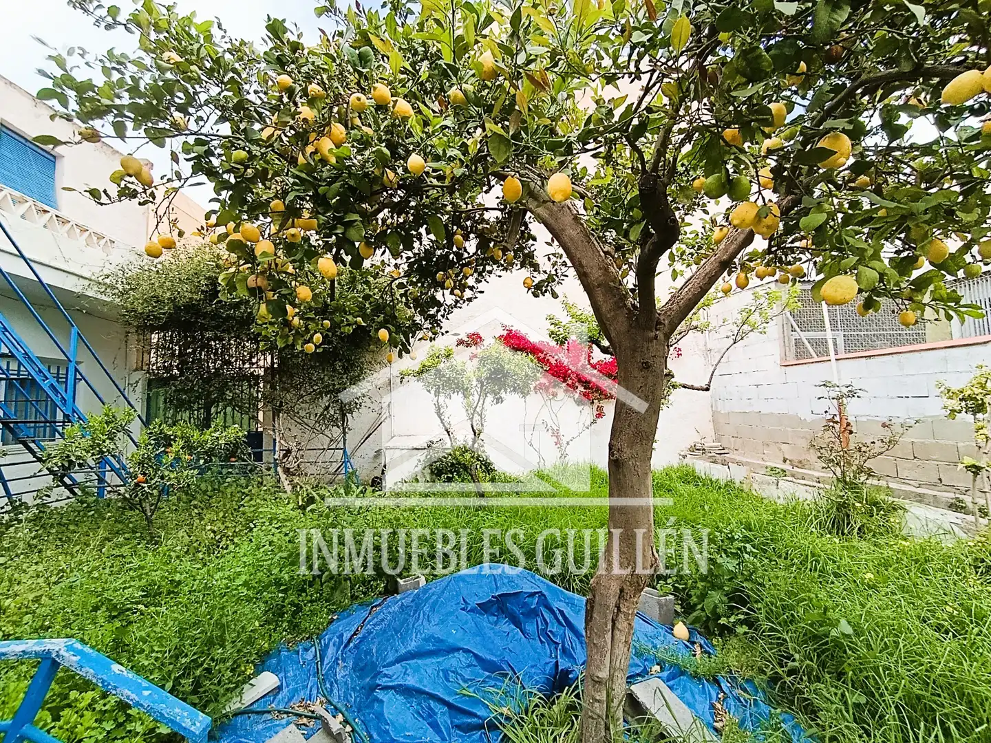 House with garden for sale in Berja, imagen 20