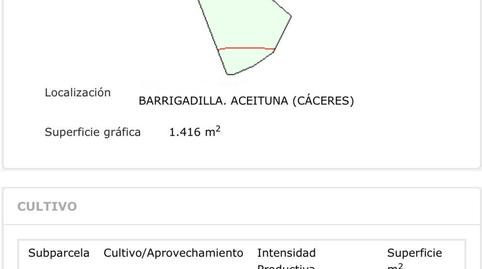 Foto 5 de Terreny en venda a Aceituna, Cáceres