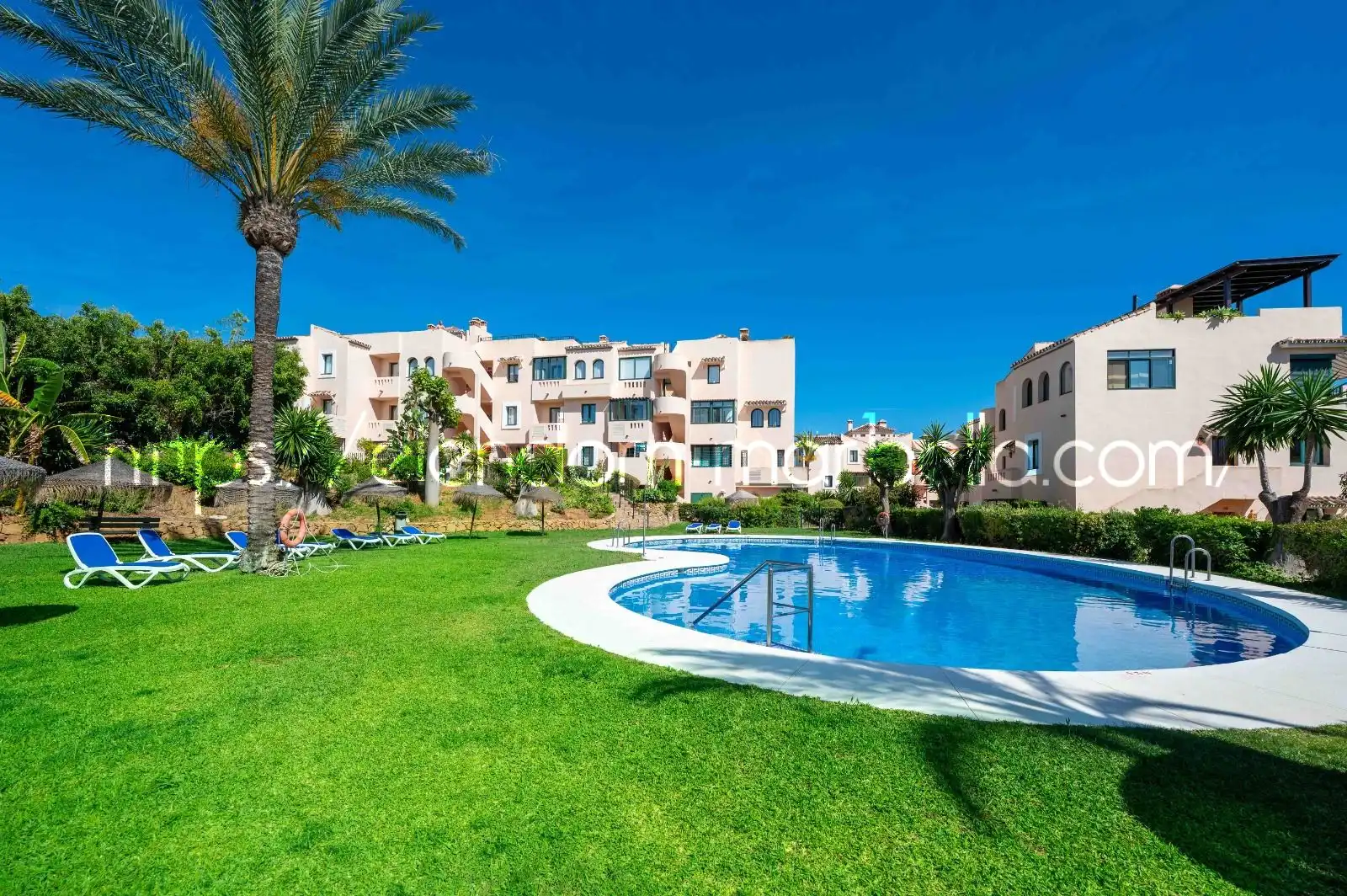 Apartament amb piscina en venda a Calle Dalia, imagen 32