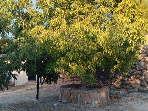 Foto 2 de Casa adosada de lloguer a Partidas Norte, Málaga
