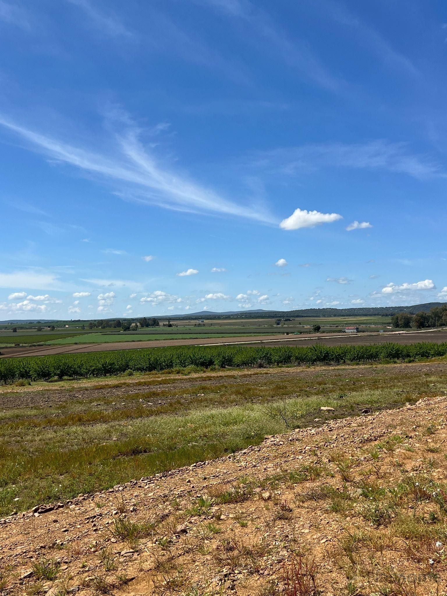 Finca rústica en venda en Santa Amalia