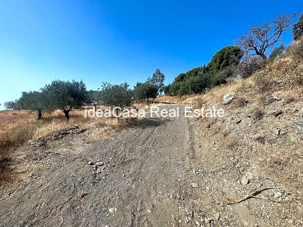 Land for sale in Casarabonela