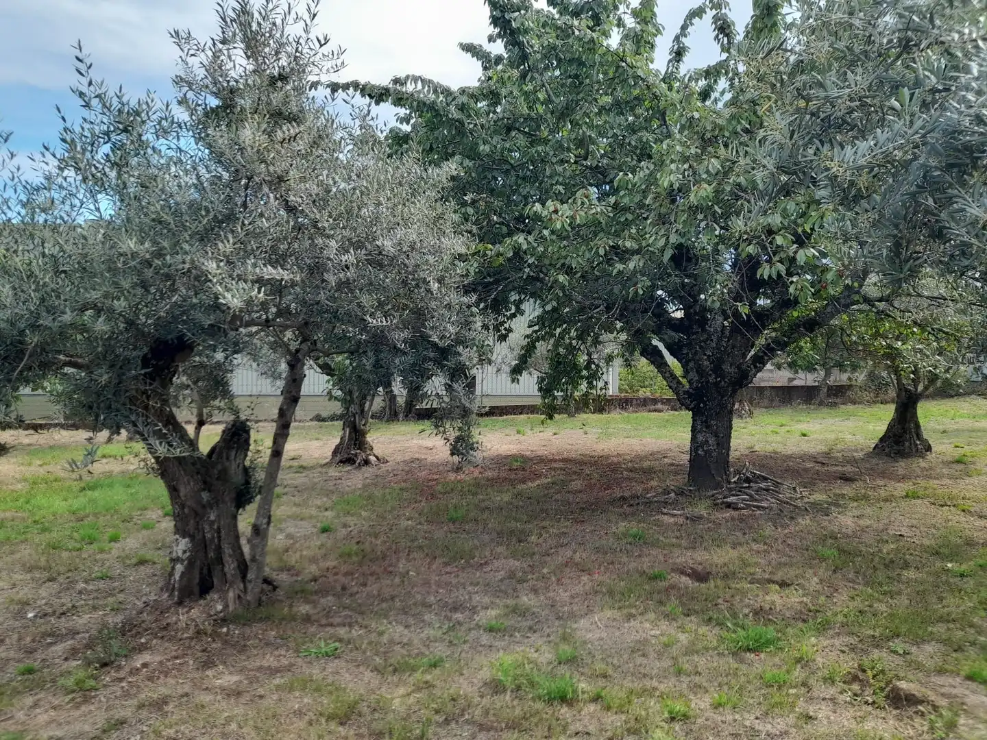 Xalet en venda a Jarandilla de la Vera, imagen 5