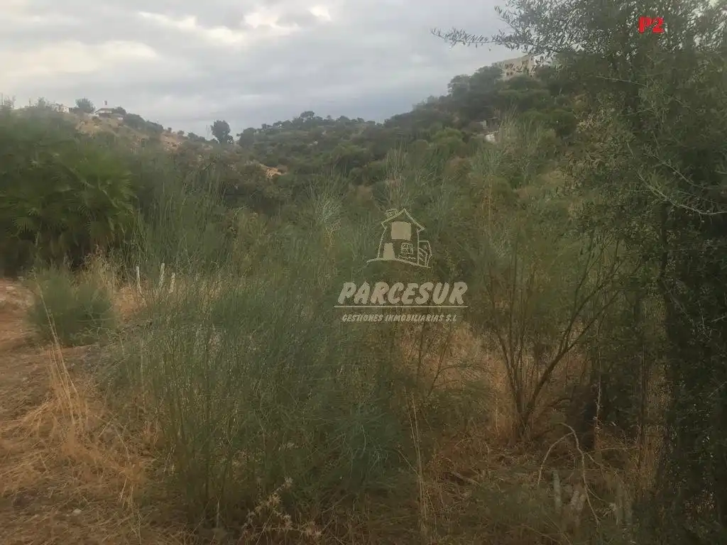 Residential land for sale in Almodóvar del Río, imagen 6
