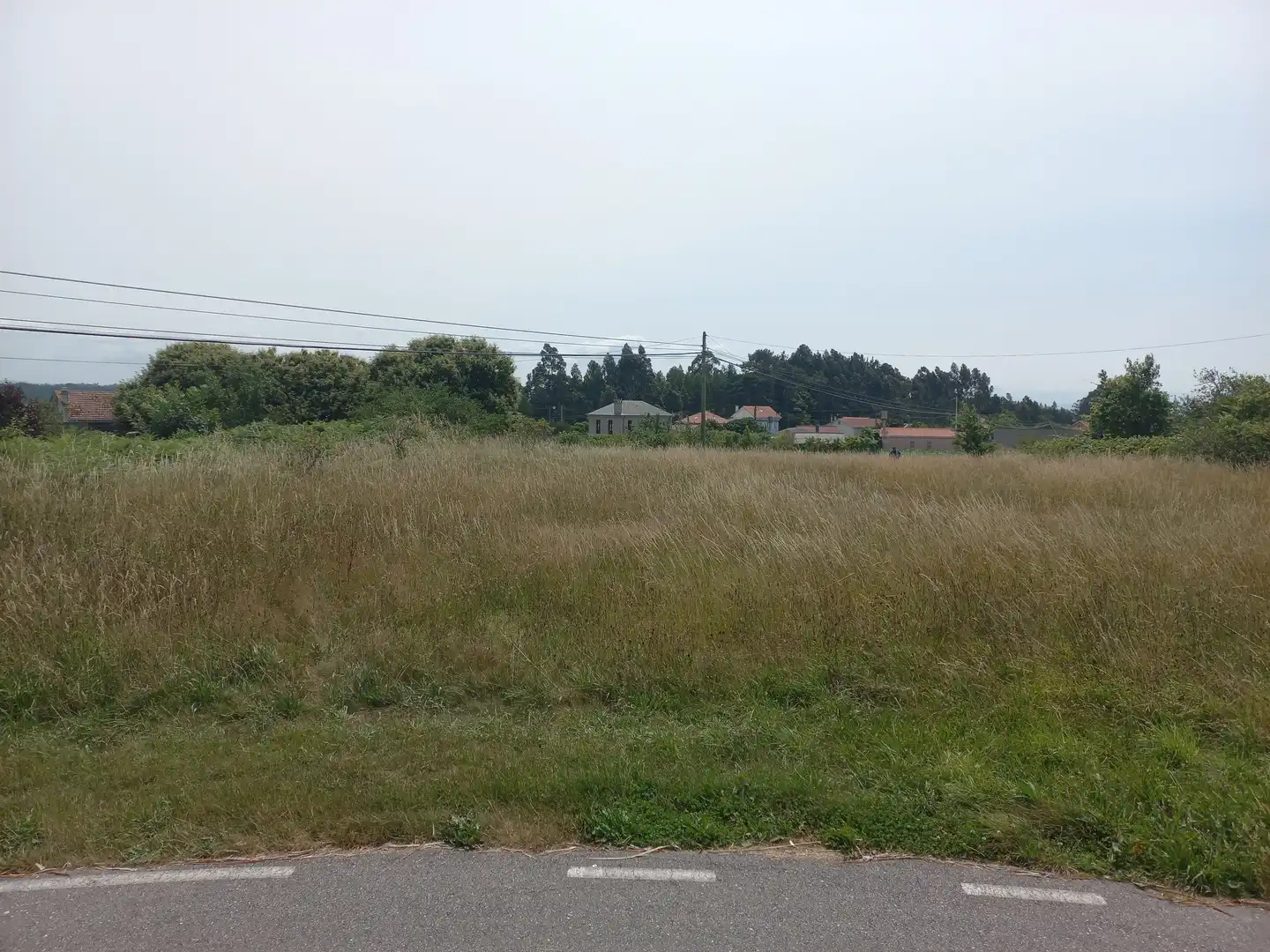 Residential for sale in Miño