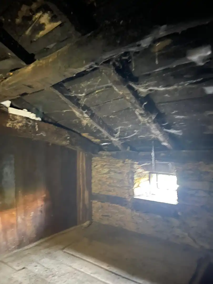 Maison à vendre à Grandas de Salime - Puente del Infierno 15, imagen 22