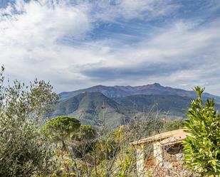 Exterior view of House or chalet for sale in Sant Feliu de Buixalleu  with Heating, Terrace and Swimming Pool