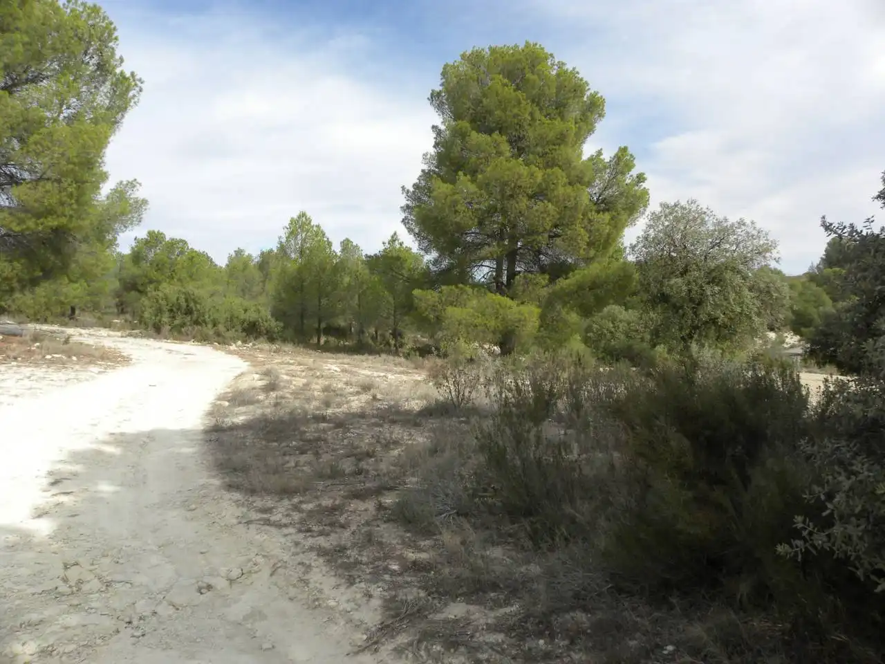 Terreno residencial en venta en Caravaca de la Cruz, imagen 6
