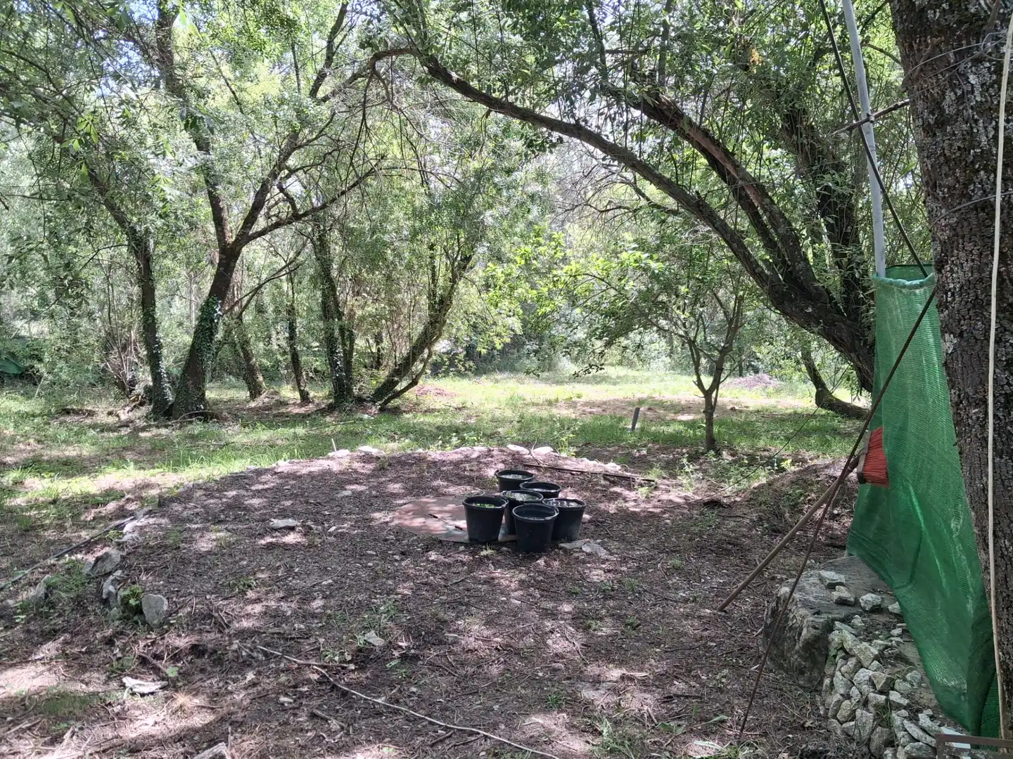 Rural land for sale in Calle del Concejo, imagen 6